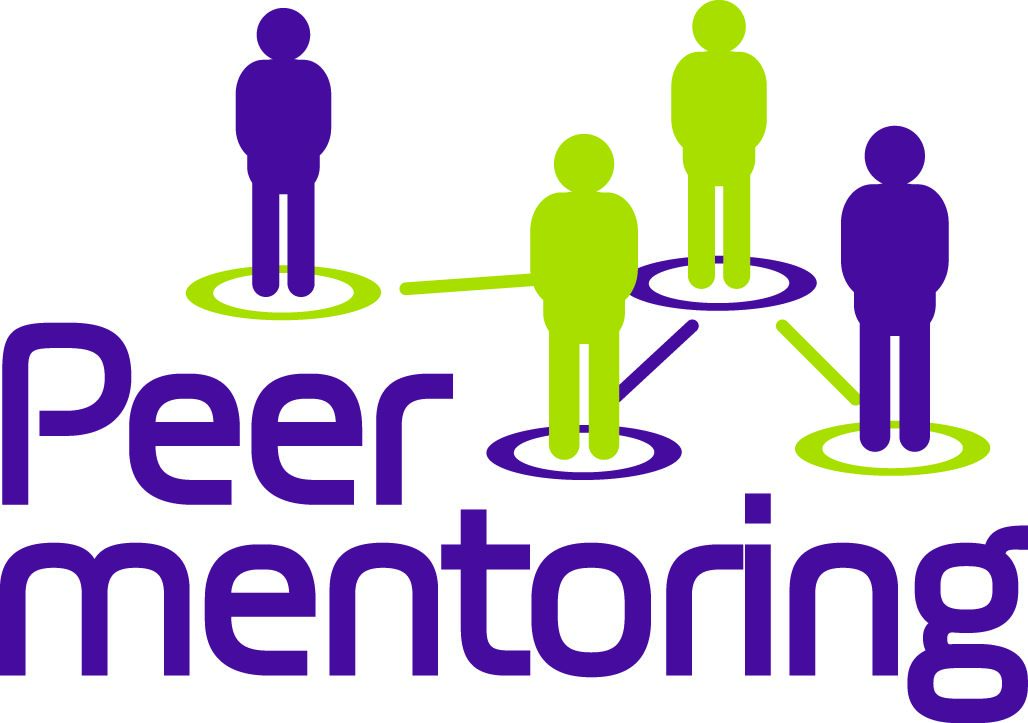 Descent Udløbet Betydelig A peer group mentoring model | Paideia