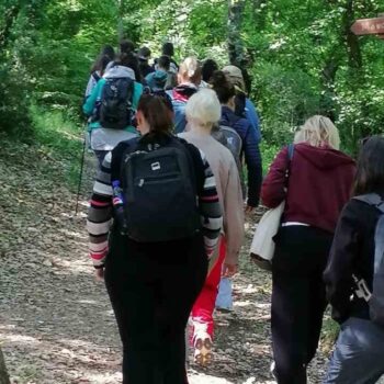 Outdoor activities: development of soft skills